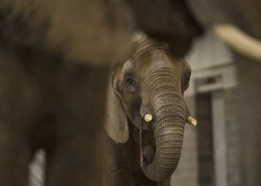 Slide 
													
													4