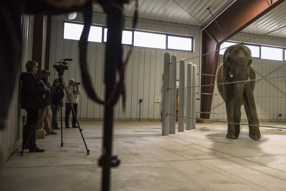 Slide 
													
													5