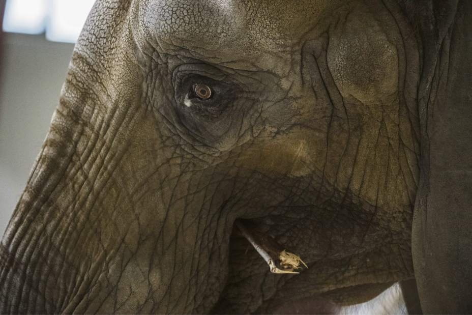 Slide 
													
													6