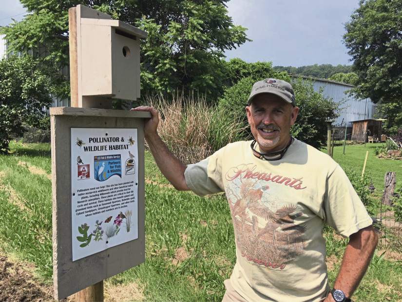 gtrSmithtonGarden1061918