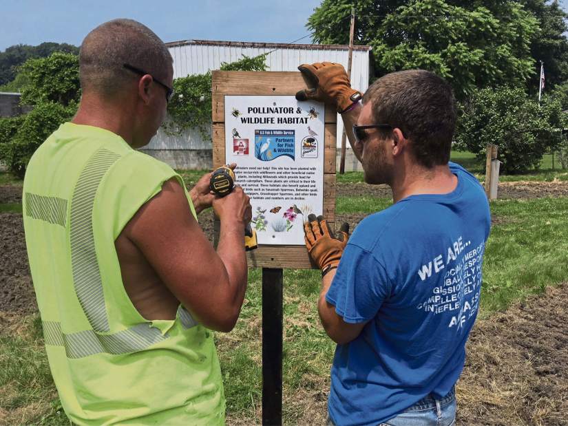 gtrSmithtonGarden2061918