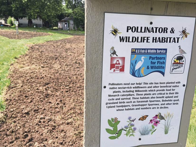 gtrSmithtonGarden3061918