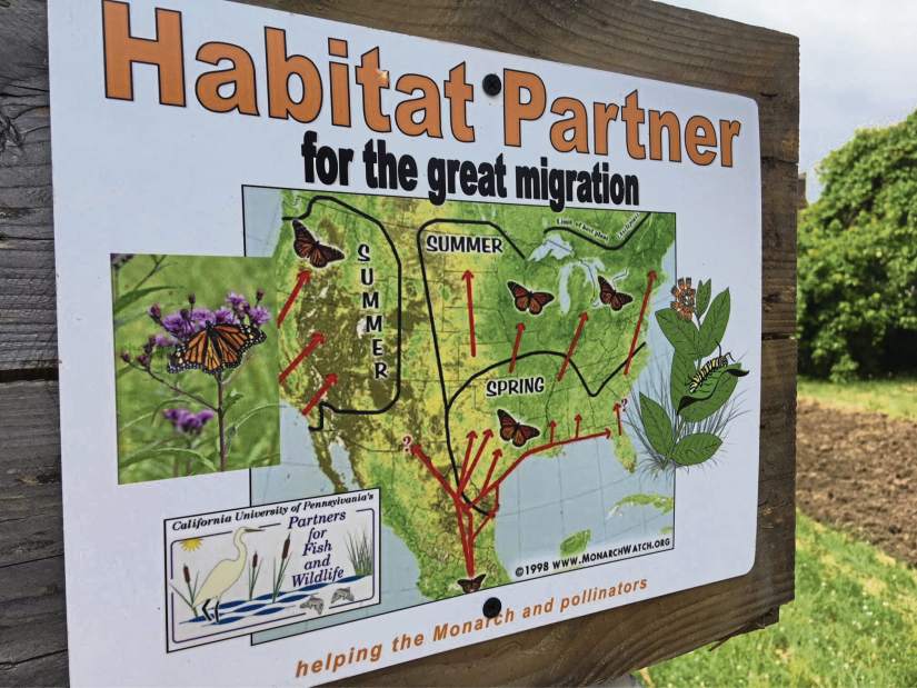 gtrSmithtonGarden4061918