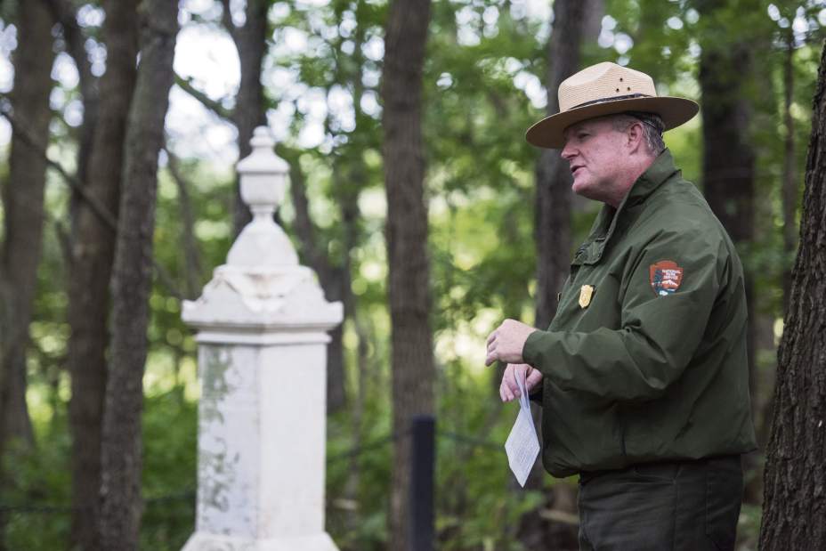 gtrSorberF93001083017