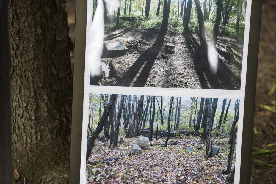 gtrSorberF93006083017