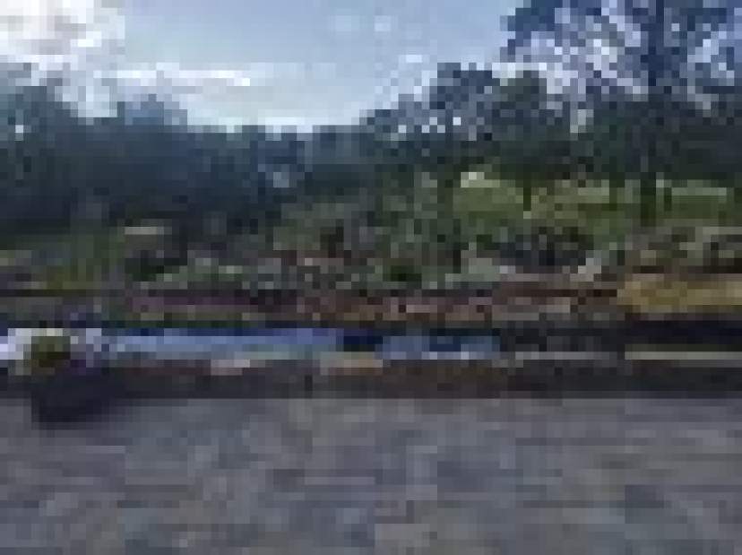 gtrTKwineryfunedgewood1