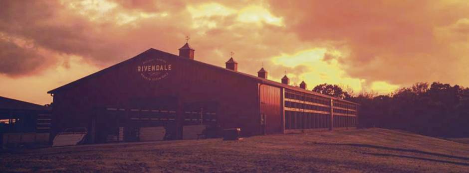 gtrfdmilkshakes3030318