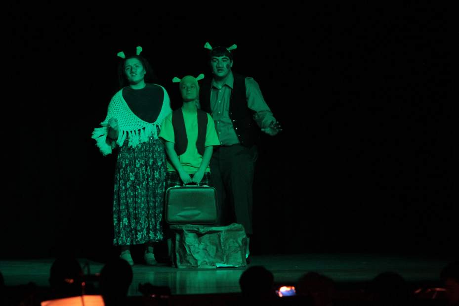 gtrfwoplinger3060814