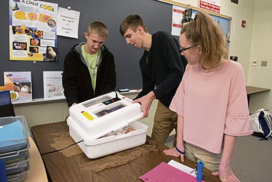 Slide 
													
													1