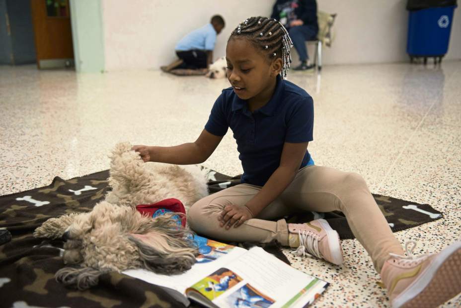 gtrinsidetheclassroom1of7