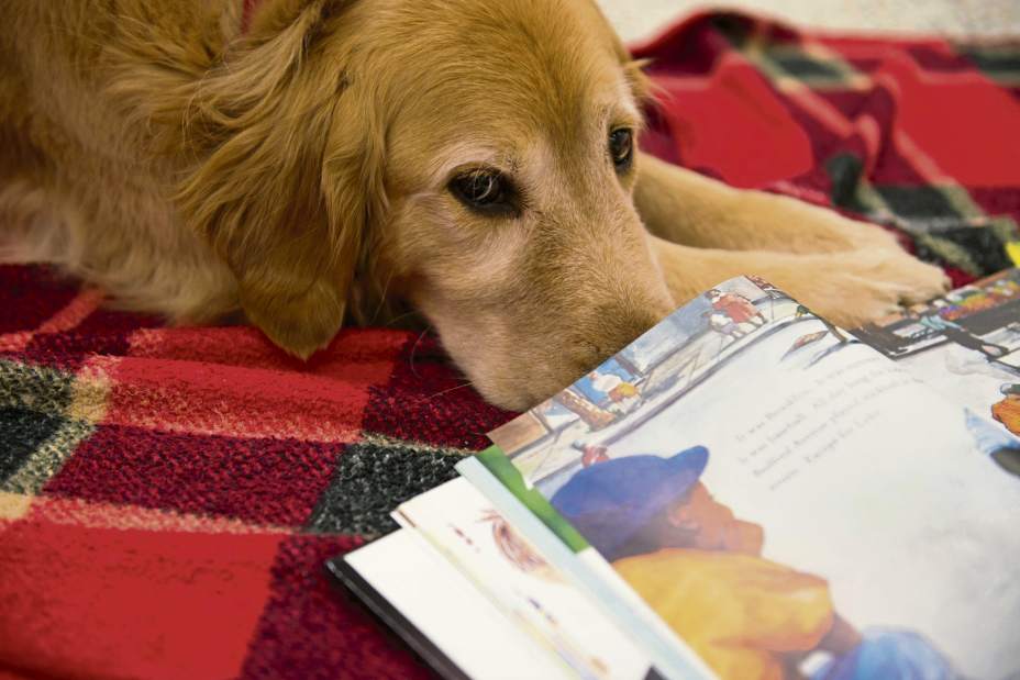 gtrinsidetheclassroom3of7