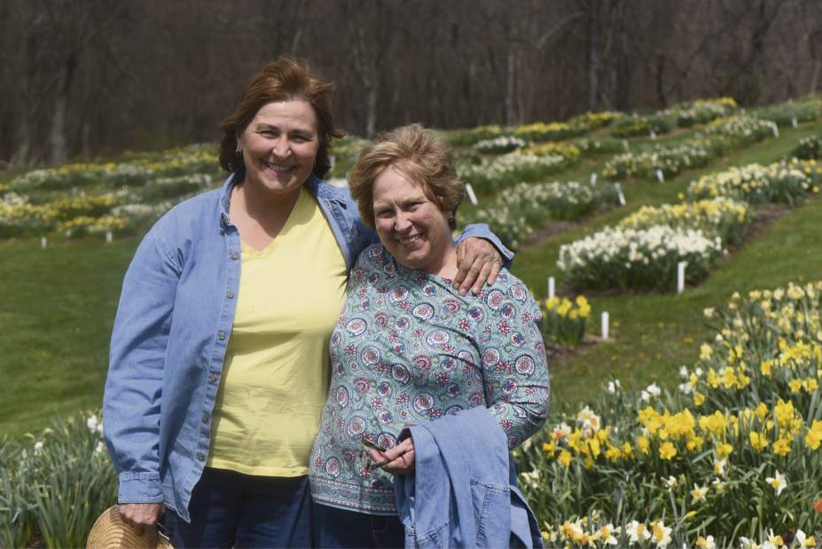 gtrliv535daffodilfarm2050418