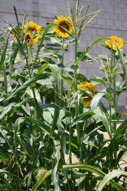 Slide 
													
													1