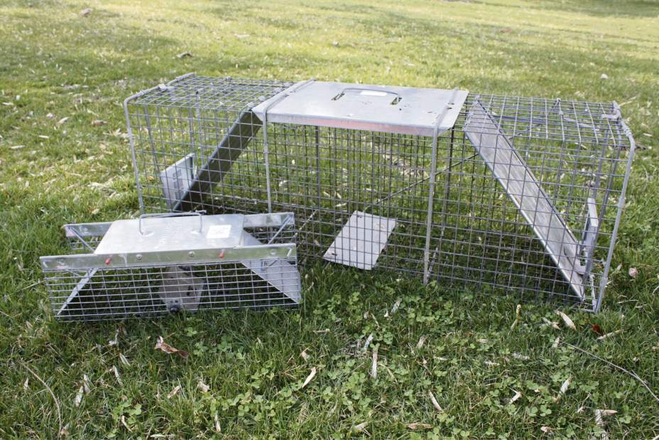 gtrlivgardenQA062918