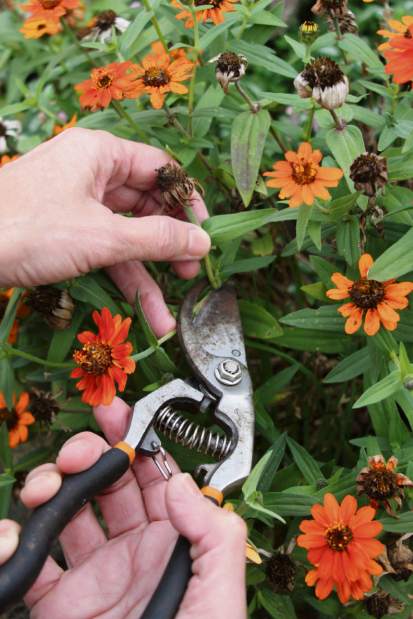 Slide 
													
													1