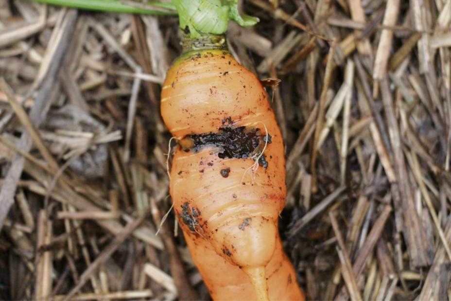 Slide 
													
													1