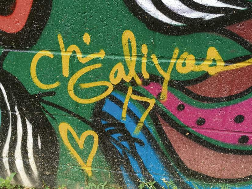 gtrlivgendernursery4062518