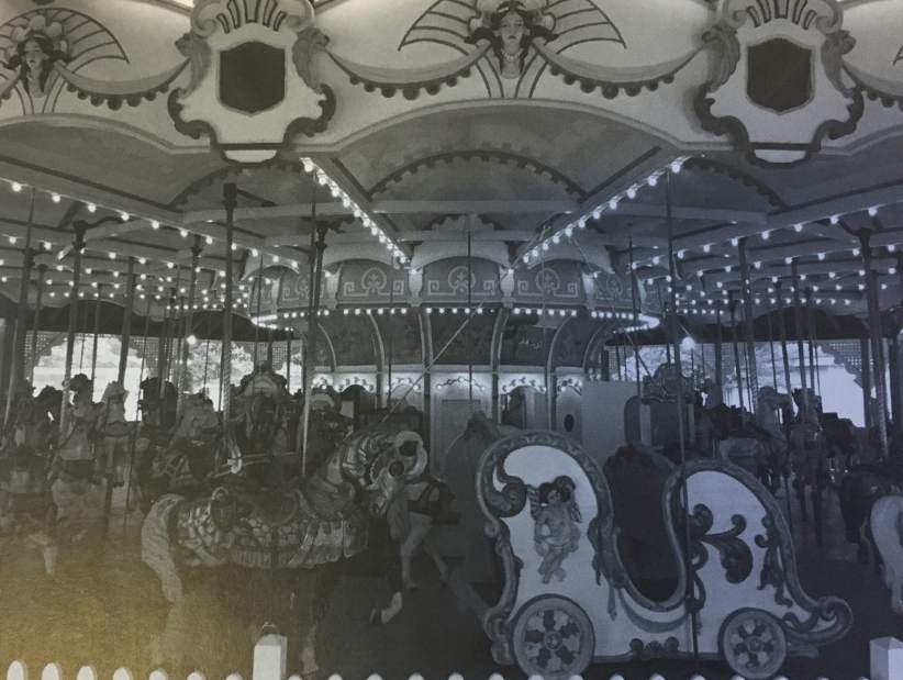 gtrlividlewildcarouseljpeg