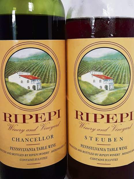 gtrlivwine1072617jpeg