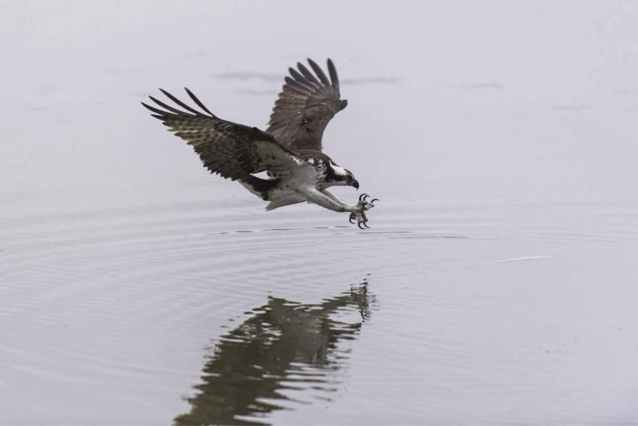 Slide 
													
													2