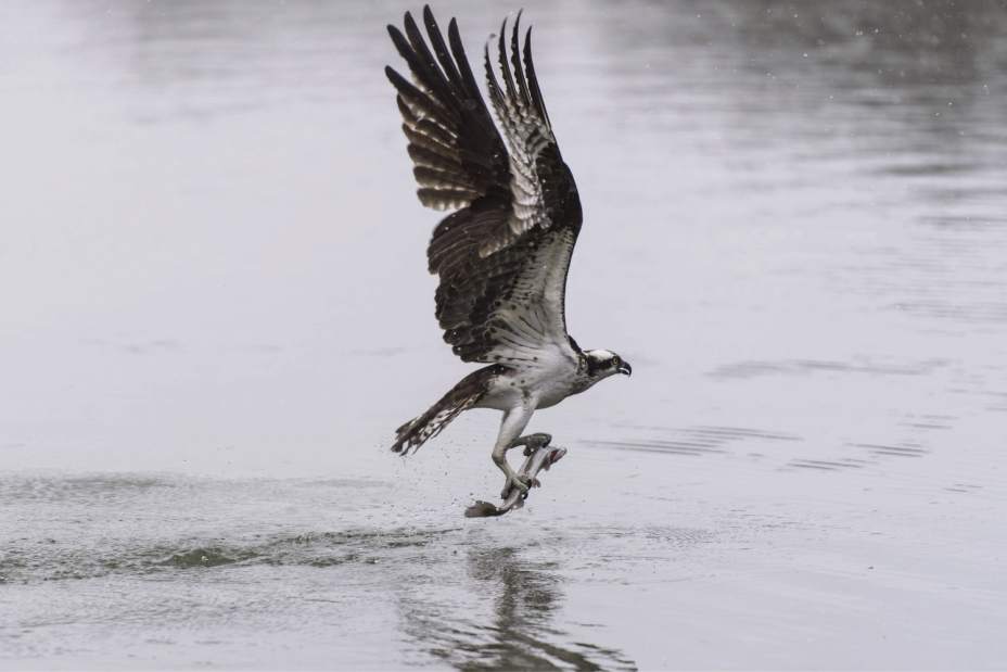 Slide 
													
													1