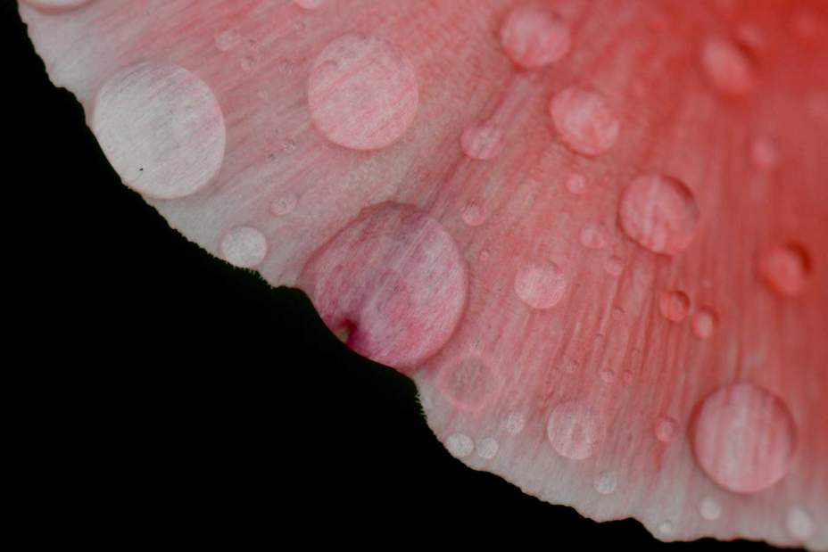 Slide 
													
													6