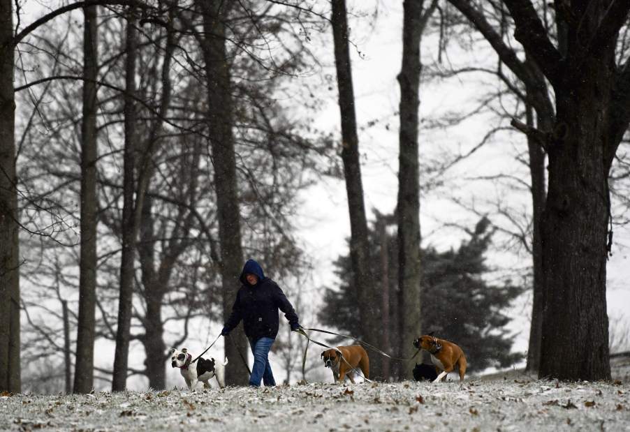 gtrlosnowfeature1121317