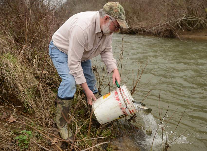 gtrlotroutstock1041515