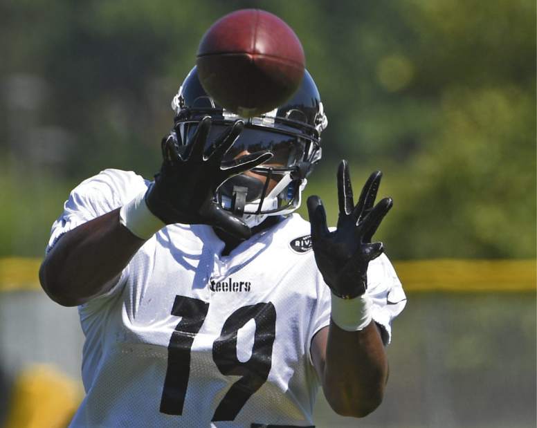 gtrsteelers020808171