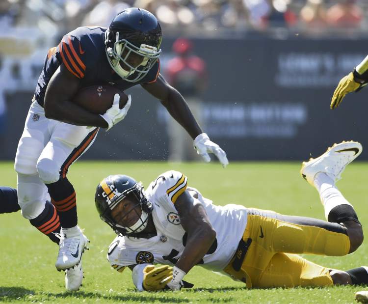 gtrsteelersbears36092517 gtrsteelersbears36092517