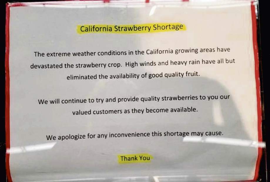 gtrstrawberries033118