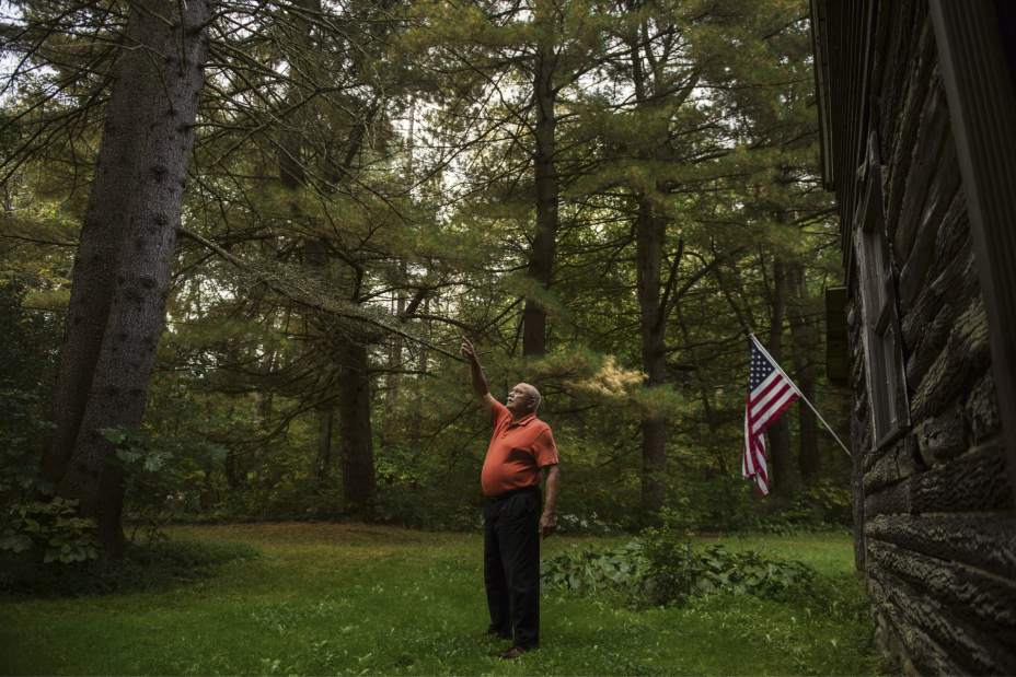 gtrtreefarm008092217