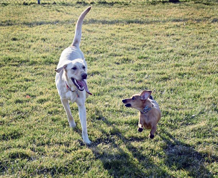 Slide 
													
													1