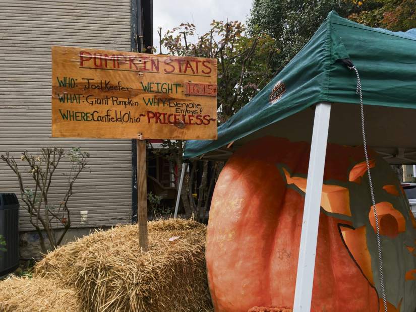 Slide 
													
													3