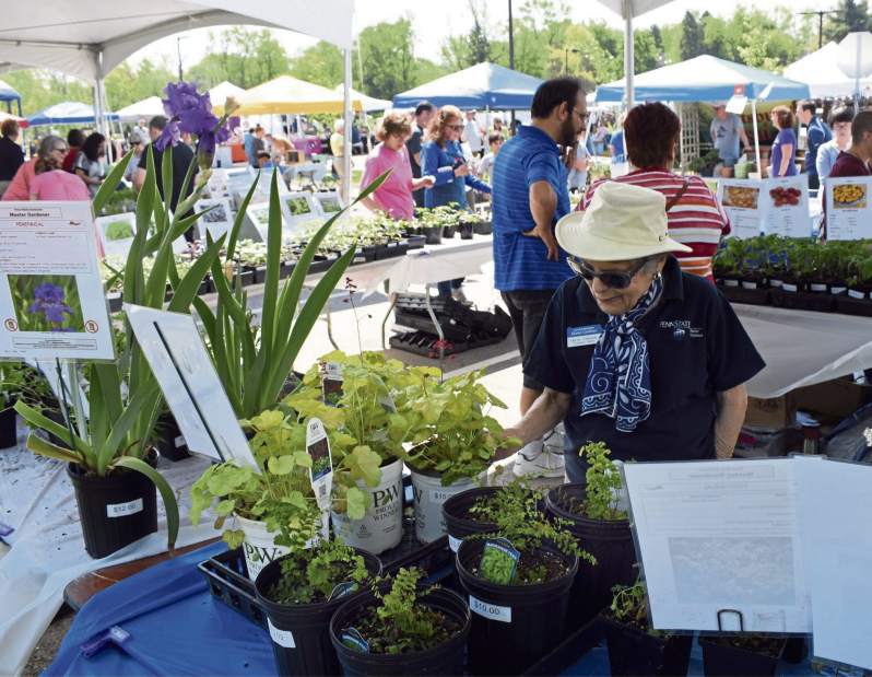 herlogardenfest4052418