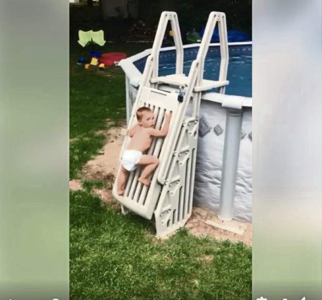 image001164 image001164