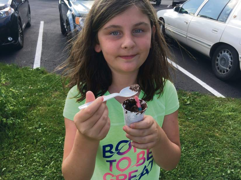 msbutterflies4080317jpeg msbutterflies4080317jpeg