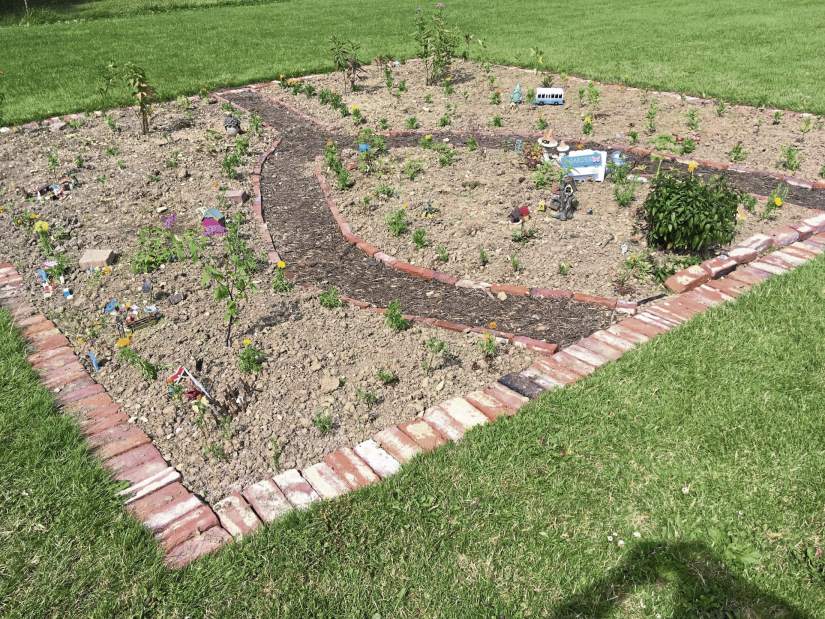 msbutterflygarden3071317