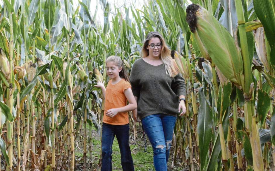 palcornmaize9101917
