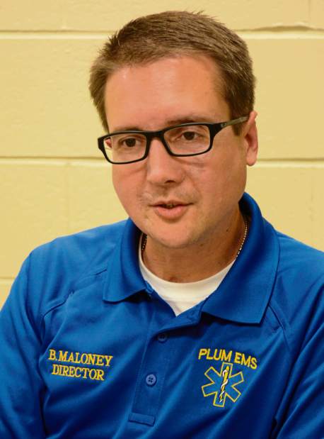 palplumemsdirector4062217