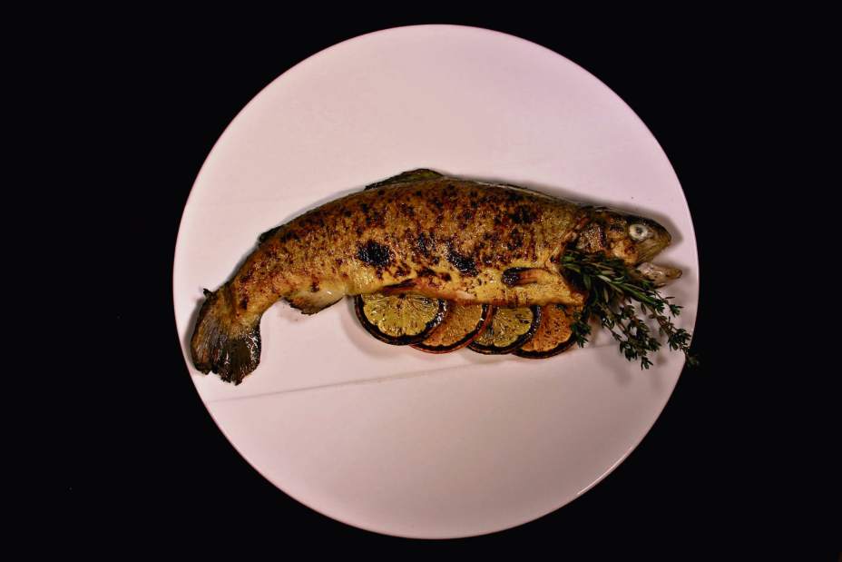 pcjedenfish5022218