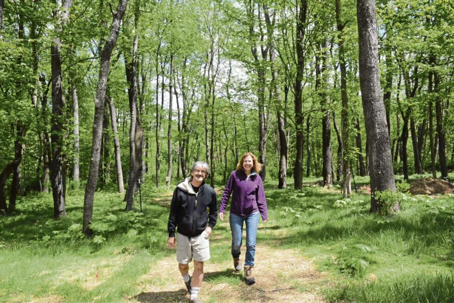 phpphtrees10511117 phpphtrees10511117