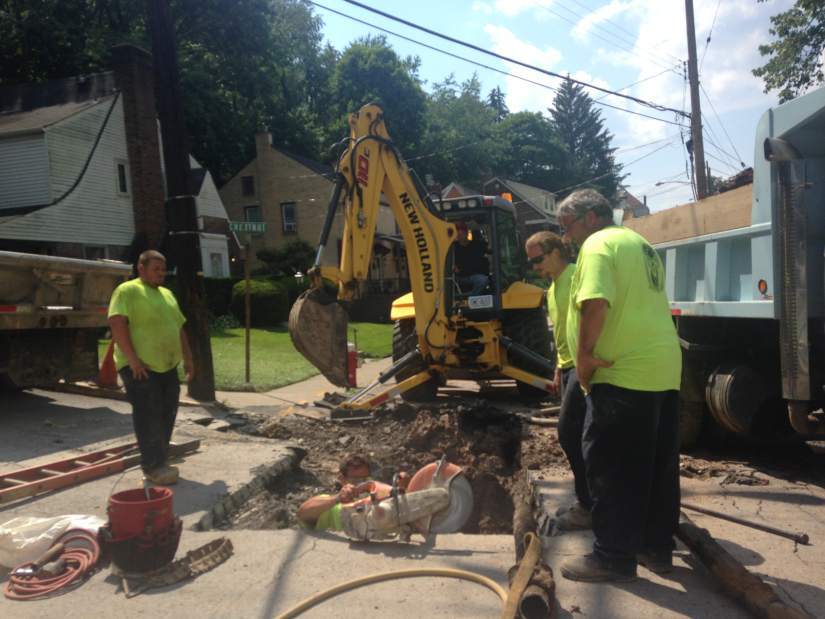 Slide 
													
													1