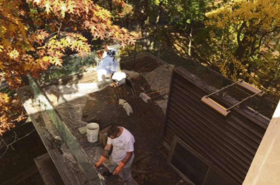 ptrLIVARTfrankhouse10041016