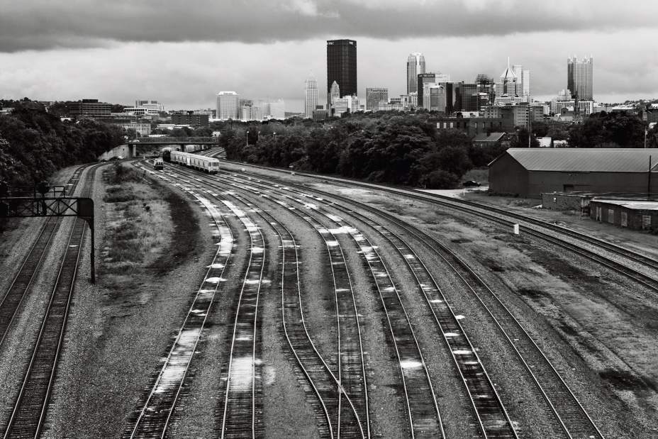 ptrLIVARTmarcellus1050816