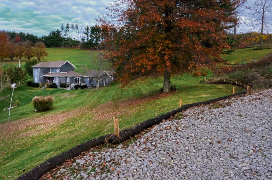 ptrLIVARTmarcellus5050816