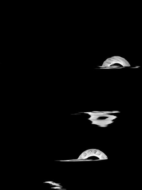 ptrLIVARTsilver3090113