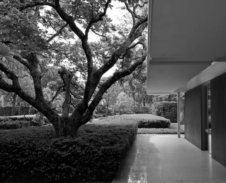 Slide 
													
													6