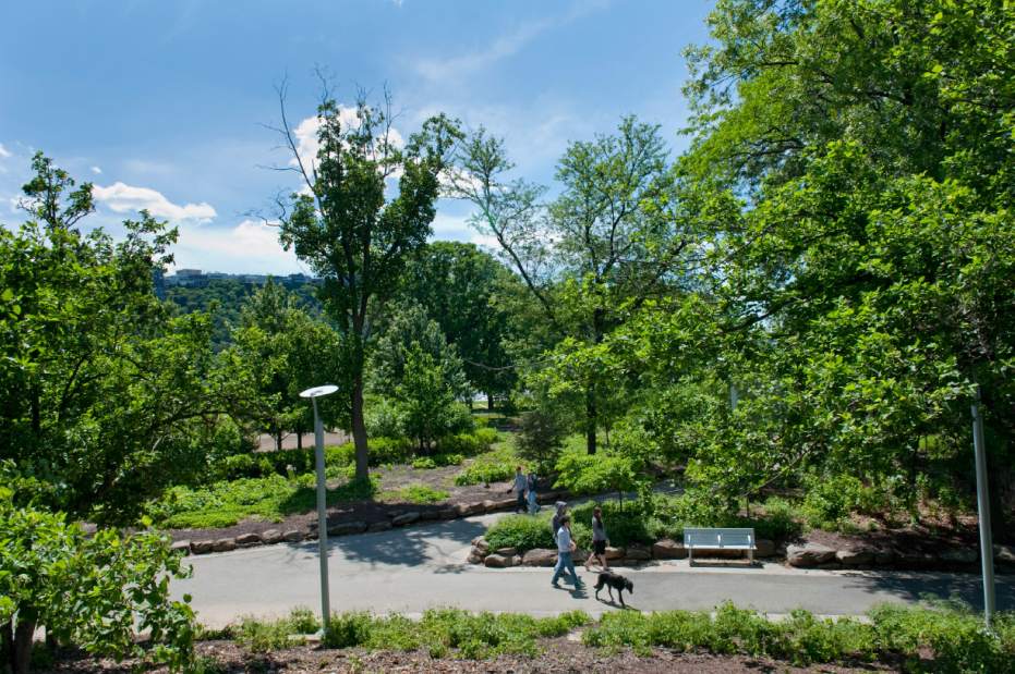 ptrLIVarchpoint5060213