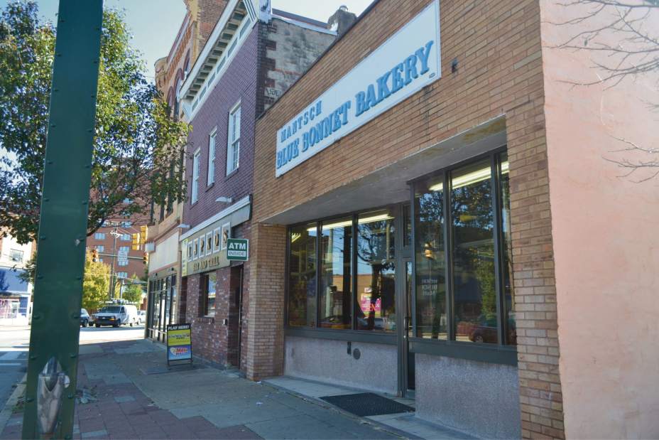 ptrLIVbluebonnet3110916